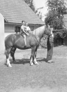 Bauernhof in Pommern 1938 Kinder reiten